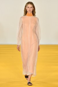 Emilia Wickstead RTW Spring 2017
