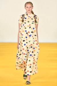 Emilia Wickstead RTW Spring 2017