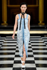 Huishan Zhang RTW Spring 2017