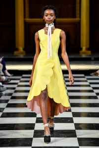 Huishan Zhang RTW Spring 2017