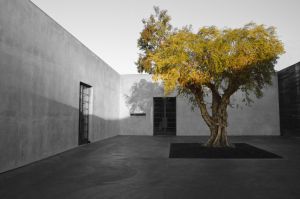 Maxfield at 8825 Melrose Avenue