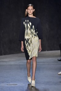 Narciso Rodriguez RTW Spring 2017