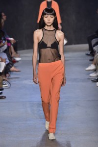 Narciso Rodriguez RTW Spring 2017