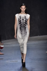 Narciso Rodriguez RTW Spring 2017