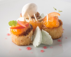 Roasted apricot and thyme ice cream dessert at Divellec.