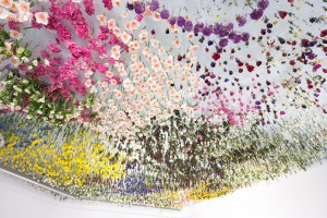 Rebecca Louise Law