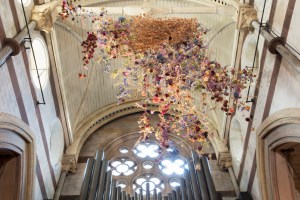 Rebecca Louise Law
