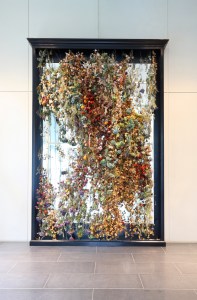 Rebecca Louise Law