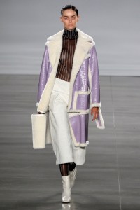 Daniel Silverstain RTW Spring 2017