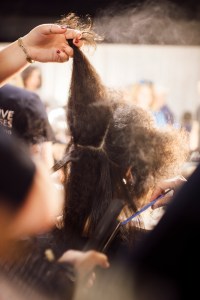 Backstage at Tibi RTW Spring 2017