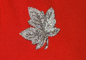 Kate Middleton Prince WIlliam Casual in Canada 2016 Maple Leaf Brooch