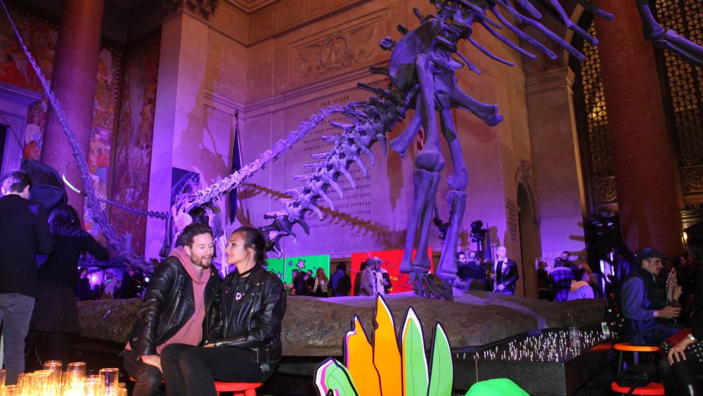 The atmosphere at the Museum of Natural History.