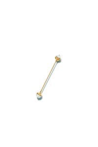 A Brooch from Eddie Borgo's collabration with Tiffany & Co.