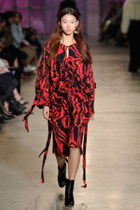 Ellery RTW Spring 2017