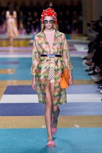 Miu Miu RTW Spring 2017