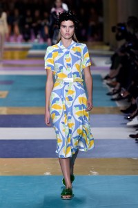 Miu Miu RTW Spring 2017