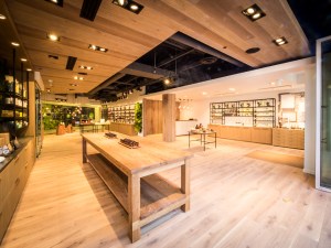 Saje Natural Wellness