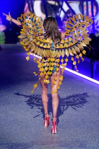 2016 Victoria's Secret Fashion Show