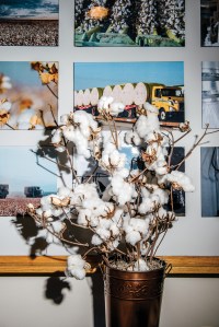DNA testing and tagging on cotton begins at the ginning level.