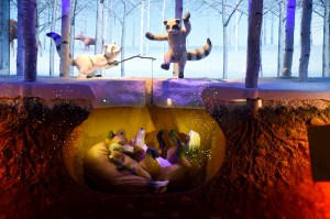 Lord & Taylor's "Enchanted Forest" holiday 2016 windows.