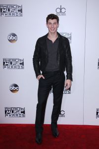 Shawn Mendes AMAs 2016