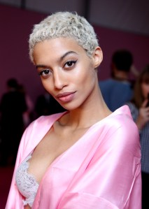2016 victoria secret fashion show Jourdana Elizabeth