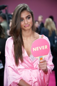 Victoria’s Secret Fashion Show 2016 taylor hill