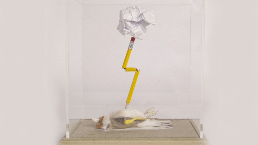 Polly Morgan's ‘A Reluctant Mind’