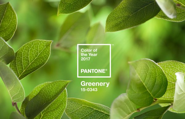Pantone Selects Greenery 2017's Color of the Year