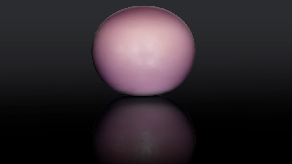 The rare quahog pearl.