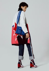 Iceberg Pre-Fall 2017