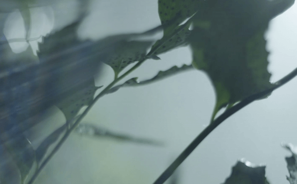 Kering Steps Up its Next Generation Sustainability Strategy