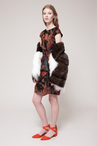 Albino Pre-Fall 2017