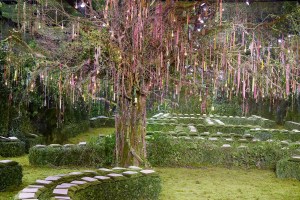 Dior created a garden for its Couture SS17 show set
