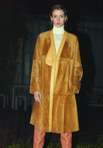 Hermes Pre-Fall 2017