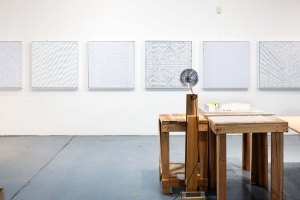 Pieces by Tara Donovan.