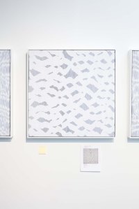 A piece by Tara Donovan.
