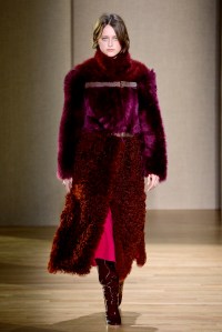 Agnona RTW Fall 2017