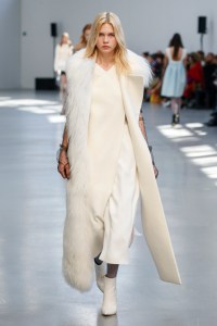 Albino Teodoro RTW Fall 2017