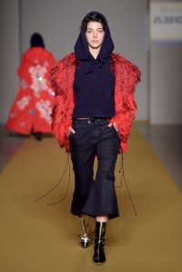 Angel Chen RTW Fall 2017