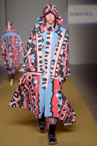 Angel Chen RTW Fall 2017