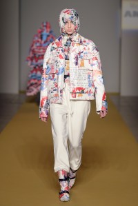 Angel Chen RTW Fall 2017