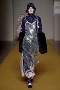 Angel Chen RTW Fall 2017