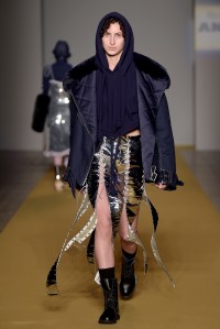 Angel Chen RTW Fall 2017