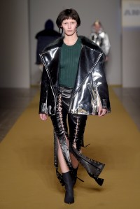 Angel Chen RTW Fall 2017