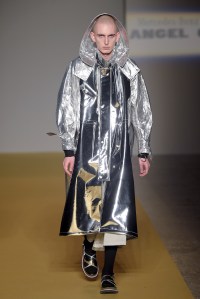 Angel Chen RTW Fall 2017