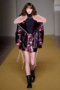 Angel Chen RTW Fall 2017