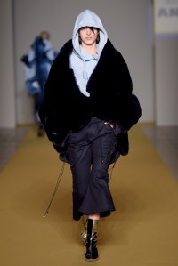 Angel Chen RTW Fall 2017