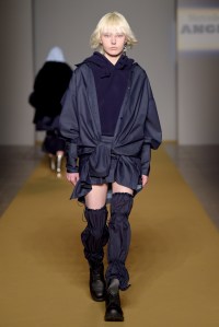 Angel Chen RTW Fall 2017