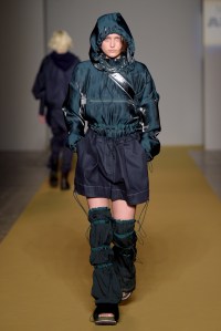 Angel Chen RTW Fall 2017